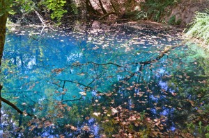 LIBOUSDA'S BLUE LAGOON